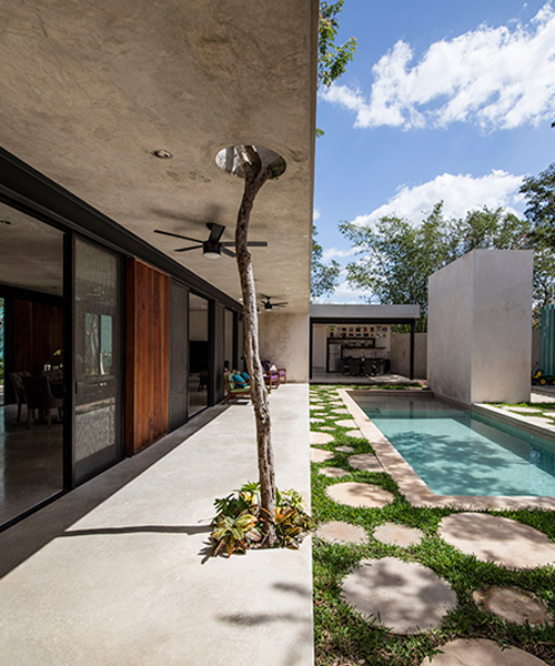 taller estilo blends nature and architecture in mexican house