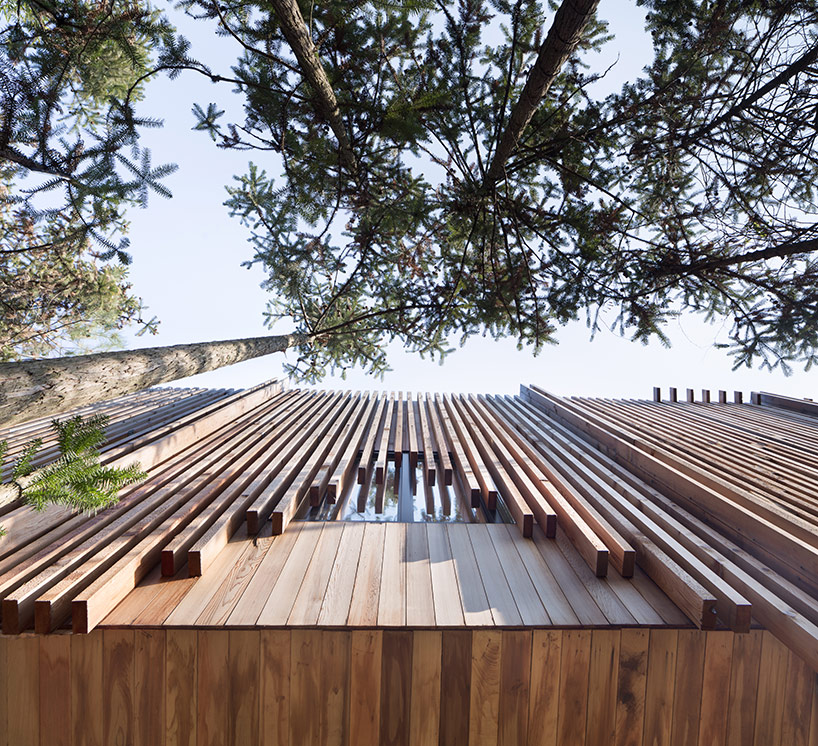 treehousem_LanDstudio
