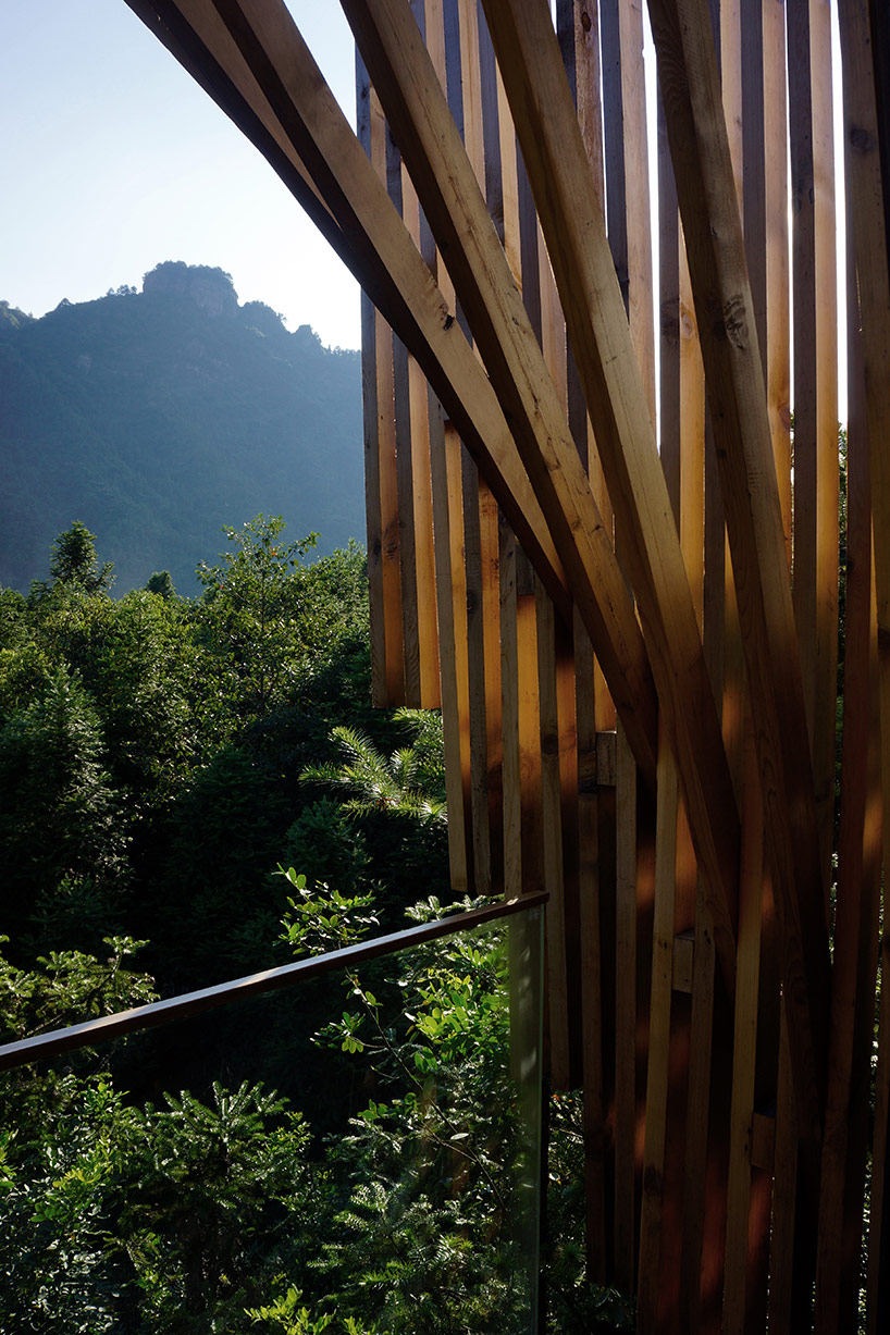 treehousem_LanDstudio