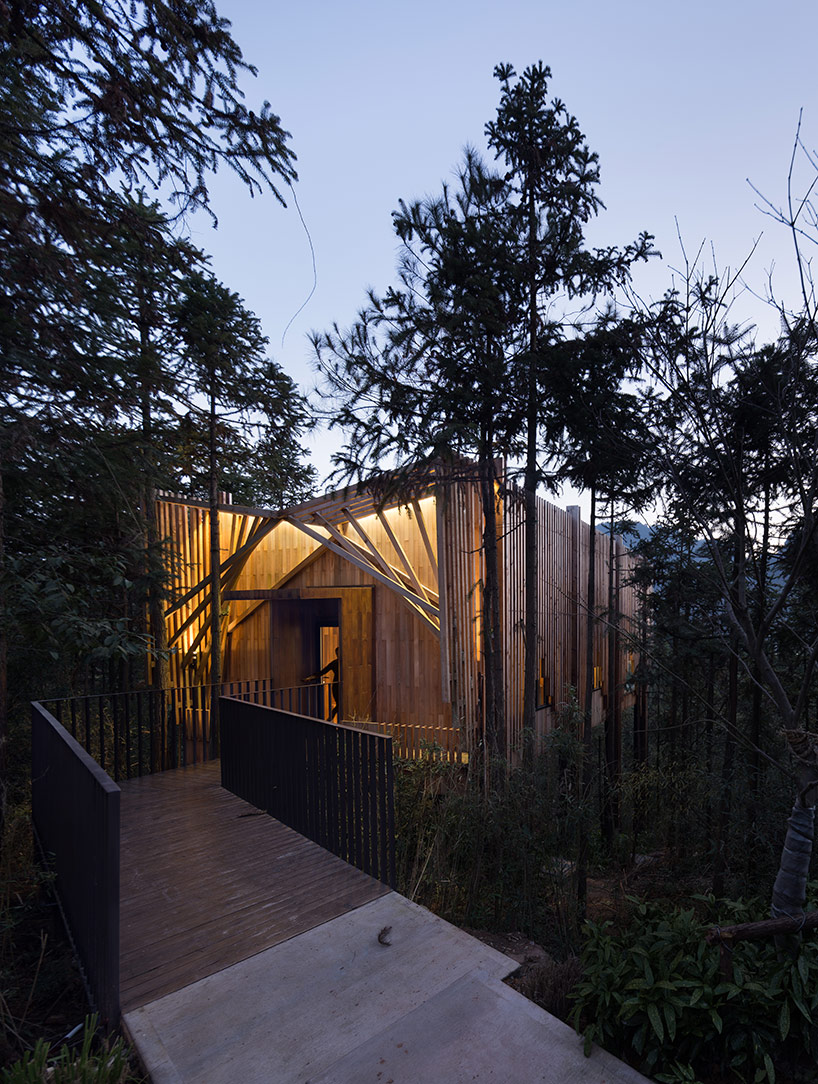 treehousem_LanDstudio