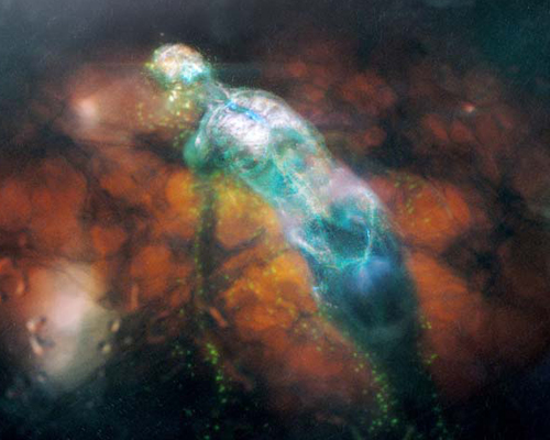 broken angel series by dave webster illustrates an ethereal landscape