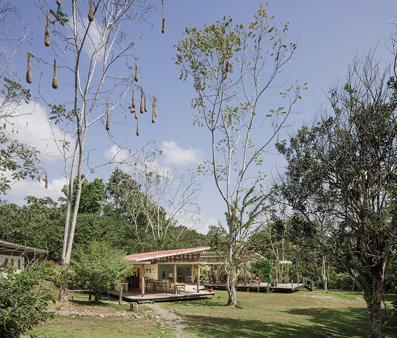canopy camp darien offers a birdwatching eco-lodge in panama