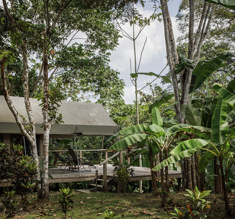 canopy camp darien offers a birdwatching eco-lodge in panama