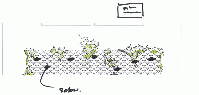 FZDP x filling pieces create tropical sneaker landscape in paris