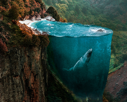 hüseyin şahin's digital dreamscapes conjure otherworldly atmospheres