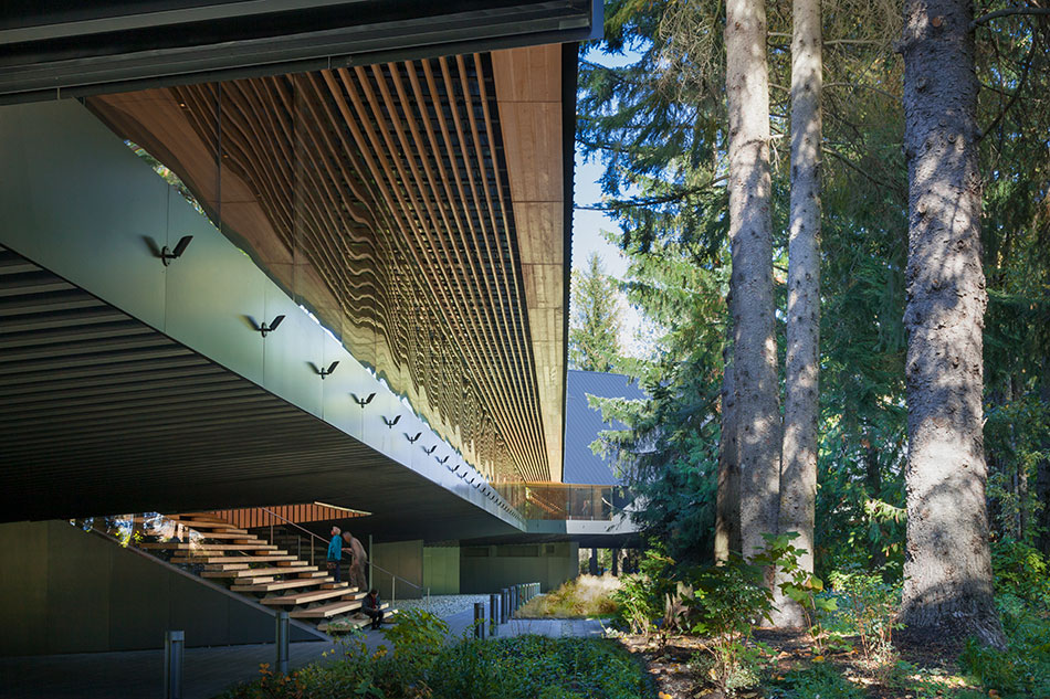 patkau architects elevates metal-clad audain art museum in whistler, canada