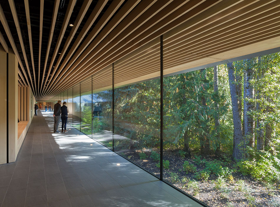 patkau architects elevates metal-clad audain art museum in whistler, canada