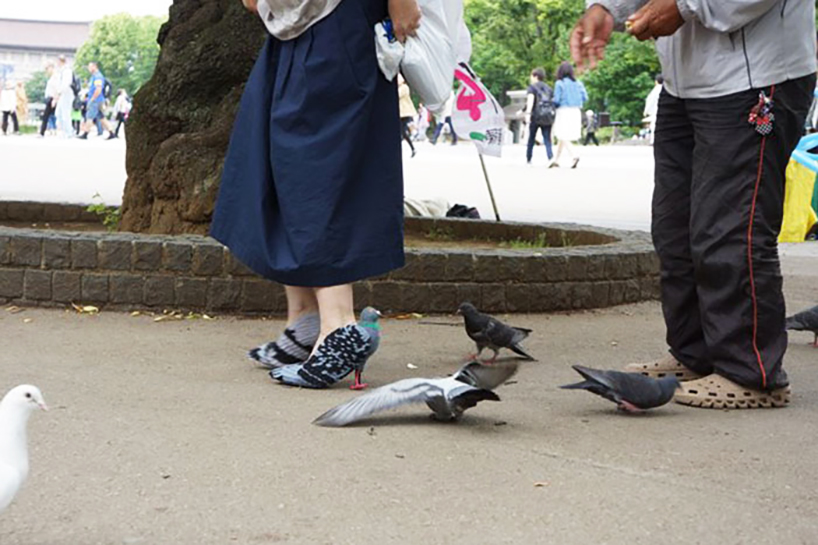 rock dove shoes