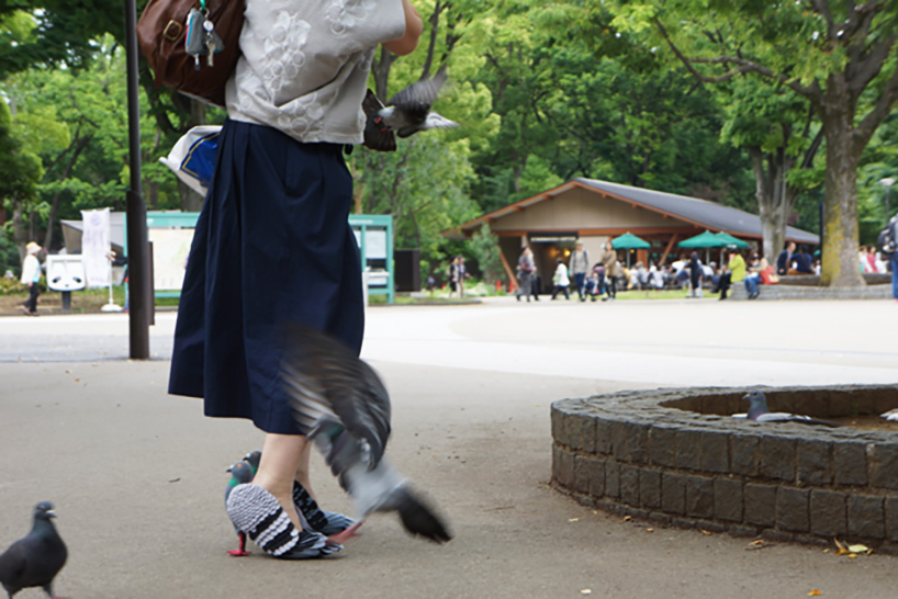 japanese designer handcrafts pigeon shoes for walking around tokyo parks