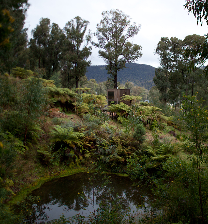 steffen welsch camouflages australian house in the landscape