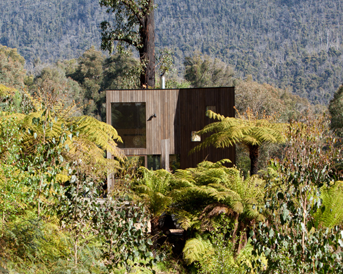 steffen welsch camouflages australian house in the landscape