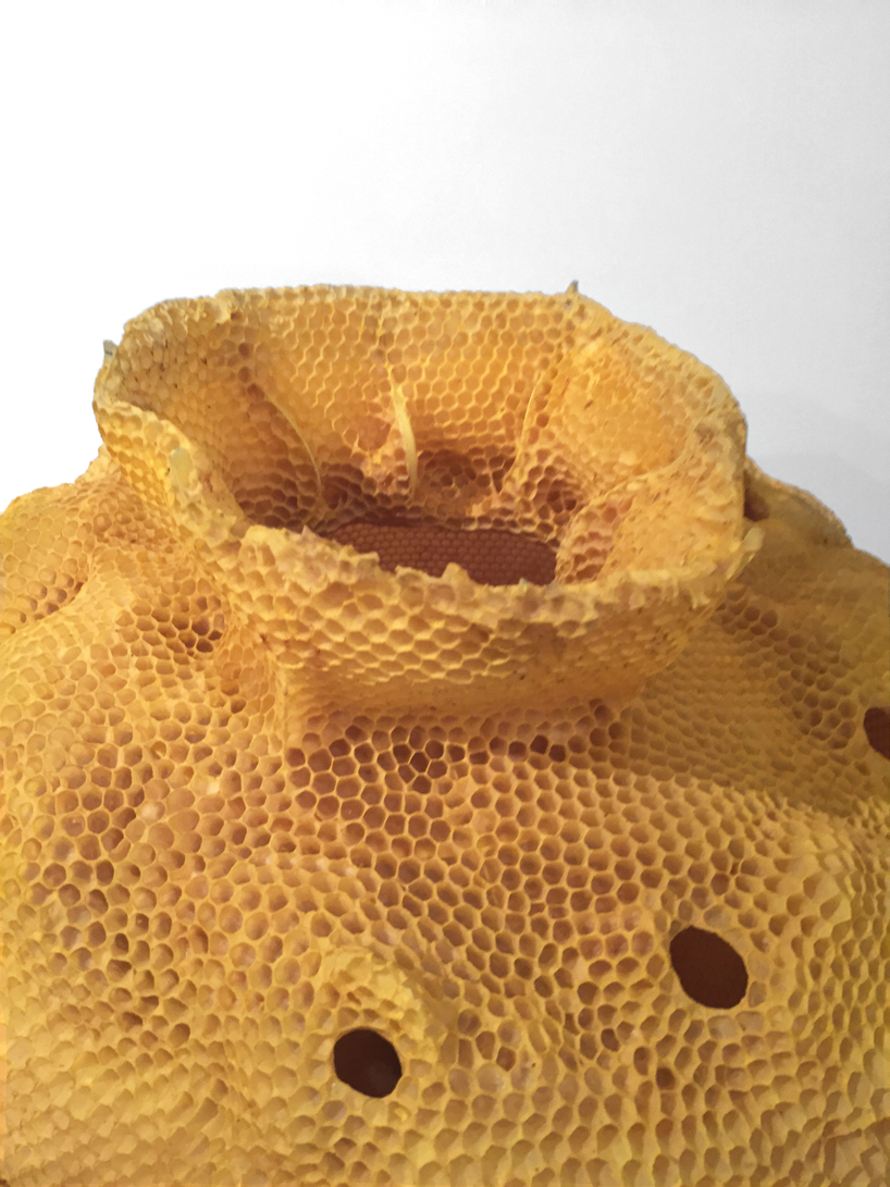 tomáš libertíny's first solo exhibition at spazio nobile in brussels