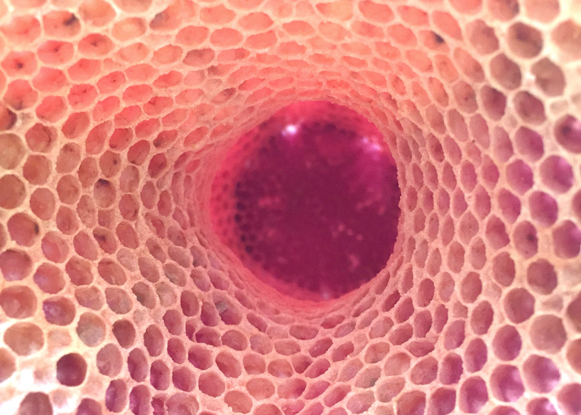 tomáš libertíny's first solo exhibition at spazio nobile in brussels