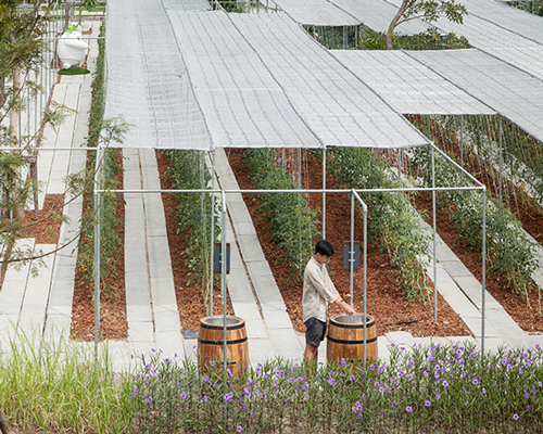 IF landscapes japanese style agri-tourist destination in rural thailand