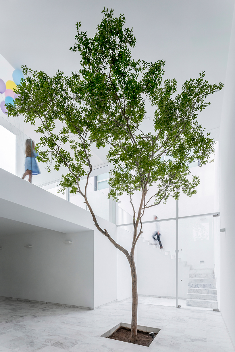 abraham cota paredes plants single tree inside cave house in mexico