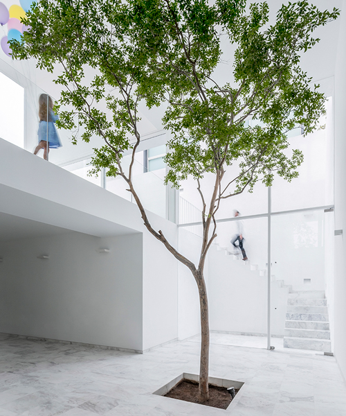 abraham cota paredes plants single tree inside cave house in mexico