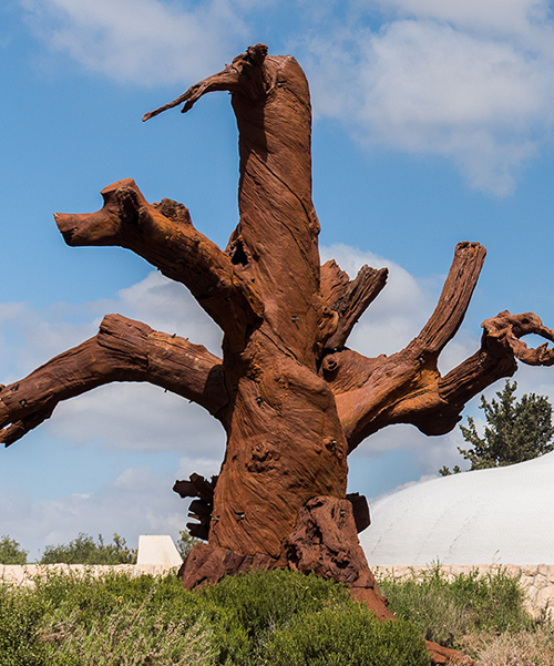 ai weiwei plants monumental iron trees at the israel museum