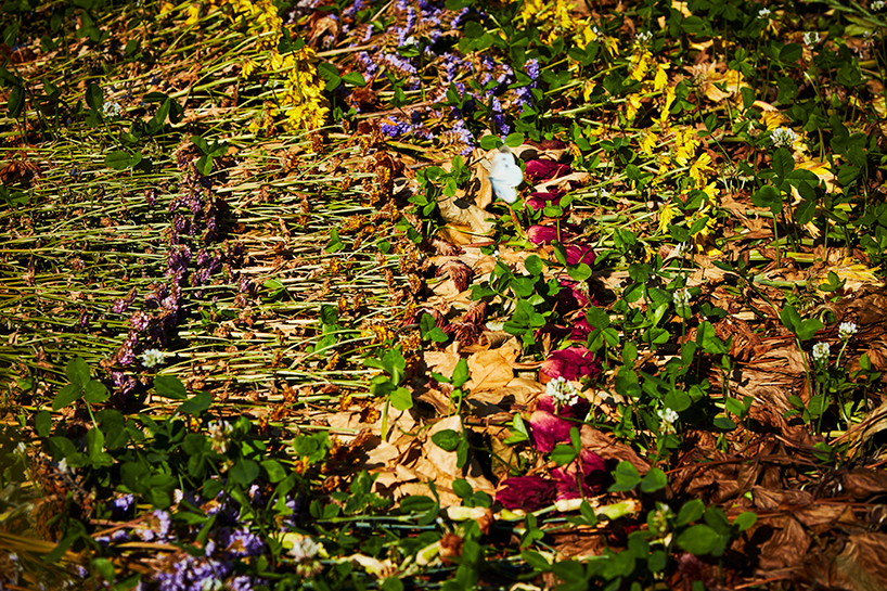 azuma makoto flower circle