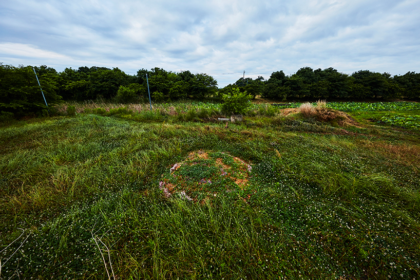 azuma makoto flower circle