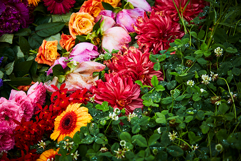 azuma makoto flower circle