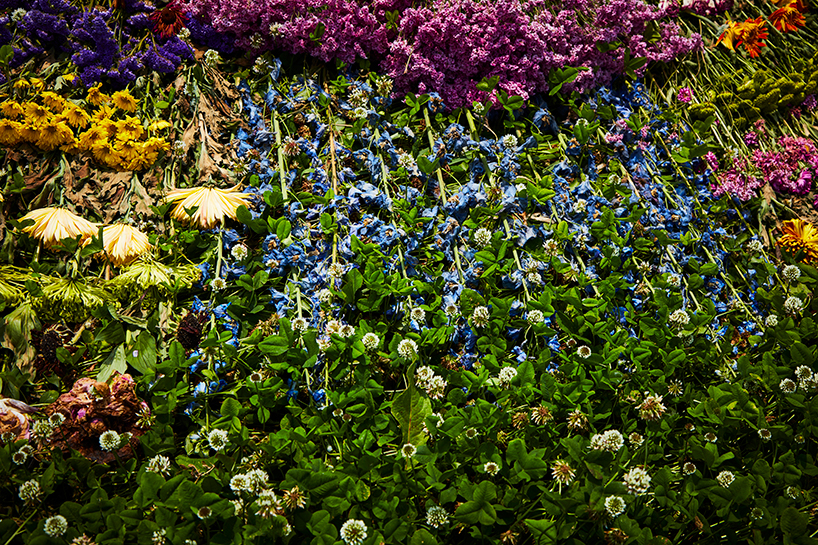 azuma makoto flower circle