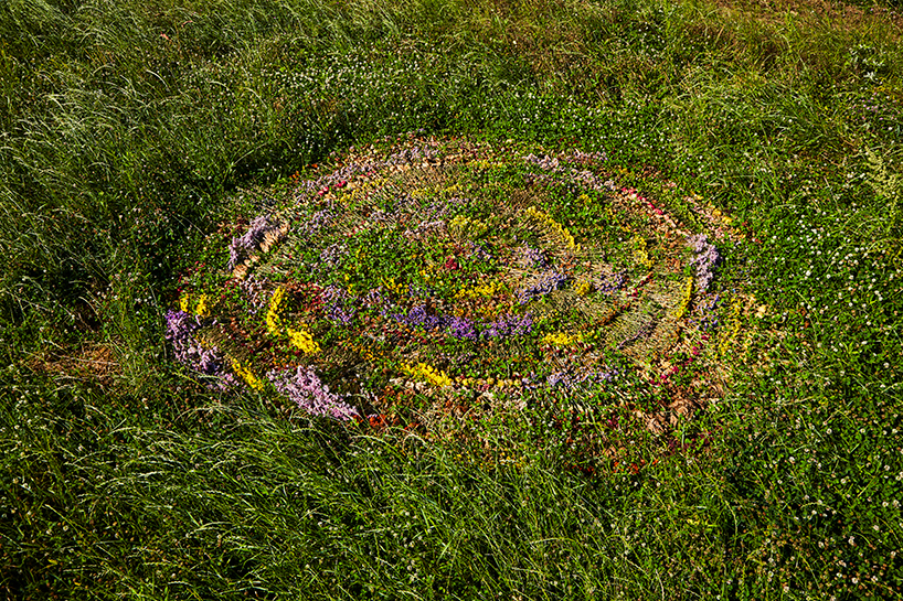 azuma makoto flower circle