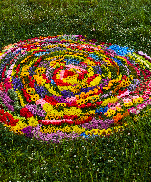 azuma makoto sculpts a spiral of 10,000 flowers that slowly decays back into the earth
