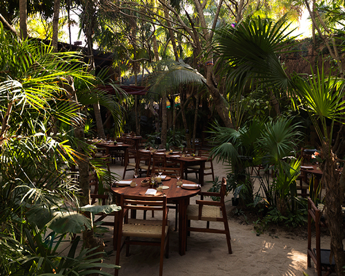 la metropolitana situates NOMA pop-up in a jungle setting in tulum
