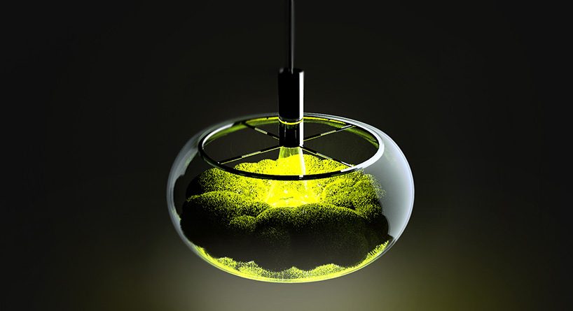 marko vuckovic's mosslamp fuses electronics with nature to effuse a sense of calm