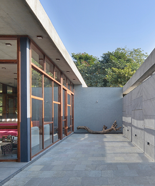 the house by the trees integrates the surrounding indian nature within the residence
