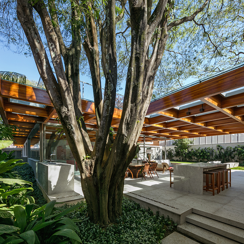 perkins + will builds a tropical house around a tree in são paulo