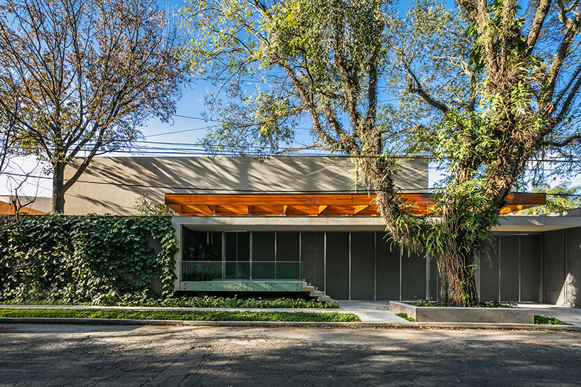 perkins + will builds a tropical house around a tree in são paulo