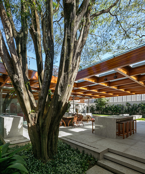 perkins + will builds a tropical house around a tree in são paulo