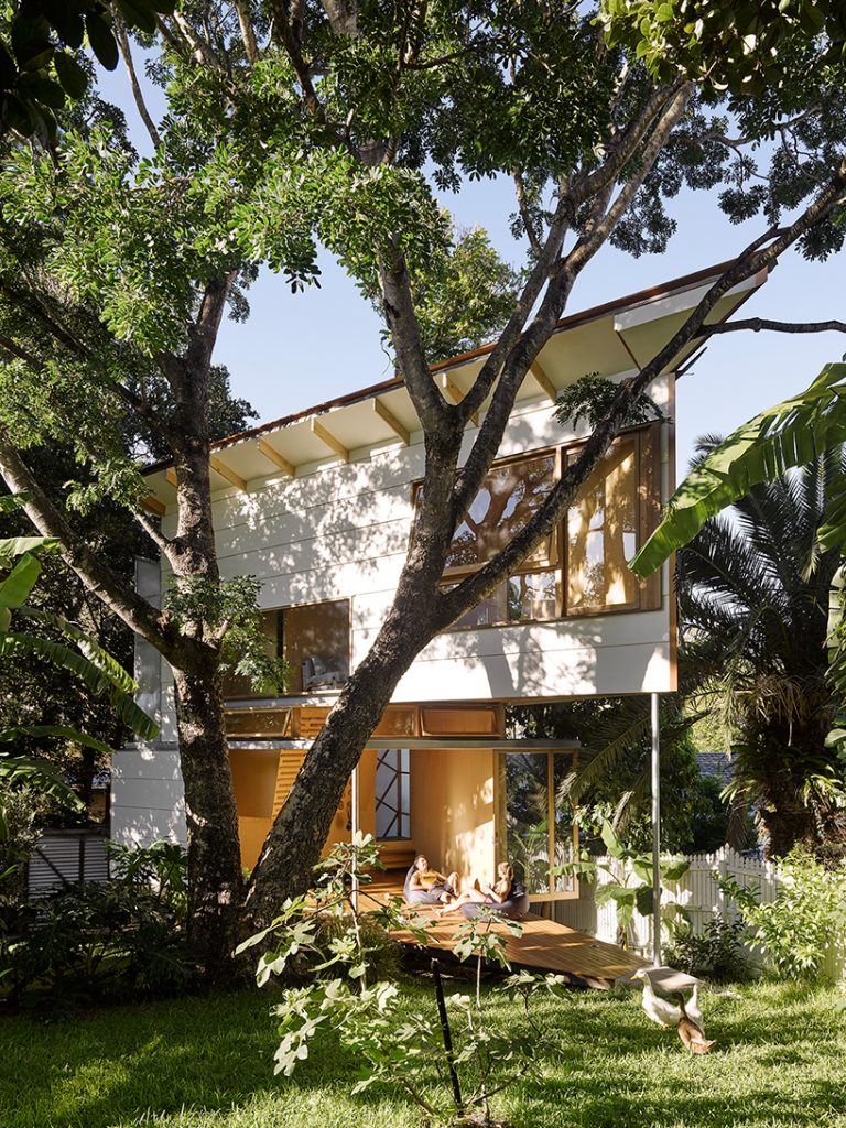 taringa treehouse by phorm architects sharply emerges from subtropical
