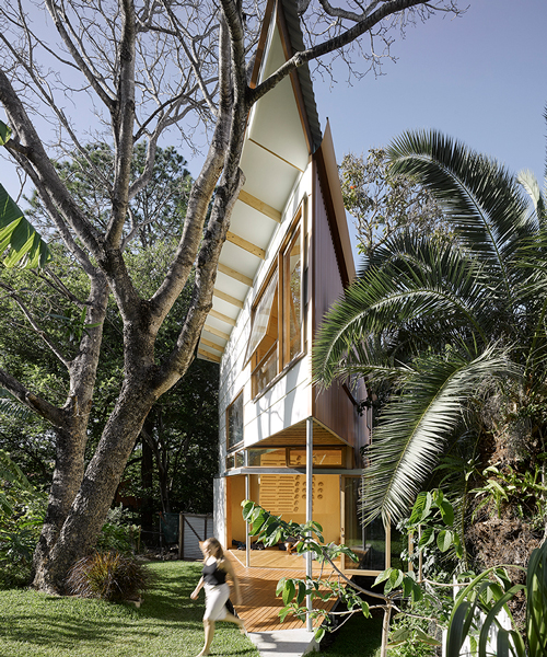 taringa treehouse by phorm architects sharply emerges from subtropical landscape