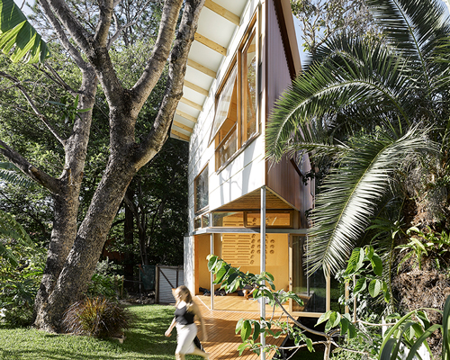 taringa treehouse by phorm architects sharply emerges from subtropical landscape