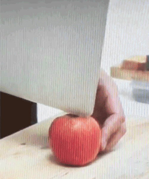 shimabuku's sharpened macbook air cuts an apple at the venice art biennale
