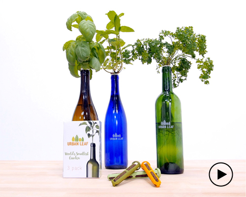 urban leaf's biodegradable plug turns a used wine bottle into the world's smallest garden