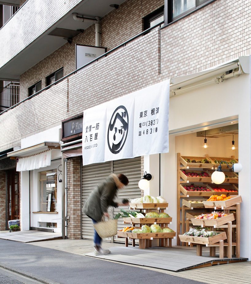 wonderwall vegeo vegeco