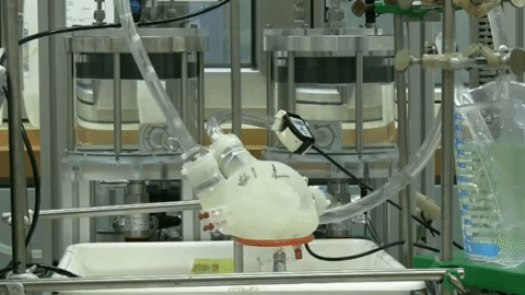 ETH zurich 3D prints a beating artificial heart