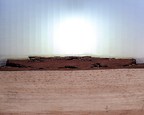 anna strupinskaya + alexey ivashkevich's 3D printed light piece unites nature and technology