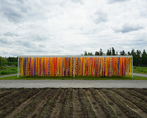 julia jamrozik + coryn kempster play with color in vertical line garden