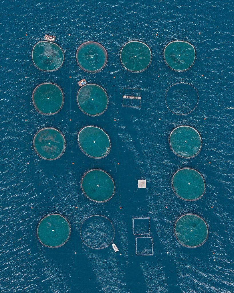 bernhard lang's aerial perspectives of fish farms resemble microscopic studies