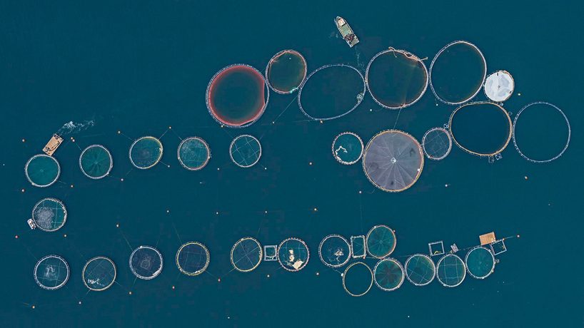 bernhard lang aerial fish farms designboom 01