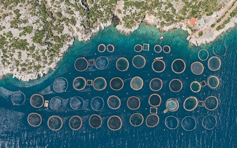 bernhard lang's aerial perspectives of fish farms resemble microscopic studies