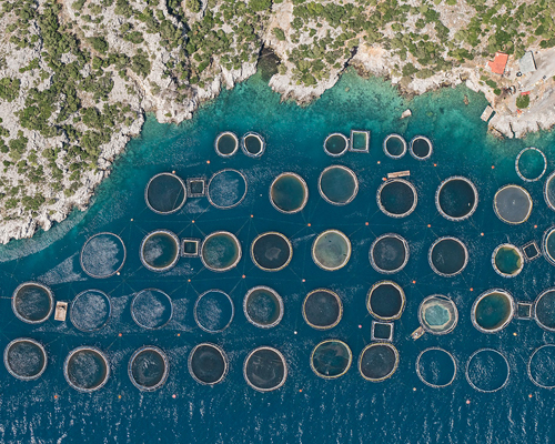 bernhard lang's aerial perspectives of fish farms resemble microscopic studies