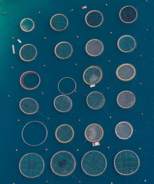 bernhard lang's aerial perspectives of fish farms resemble microscopic studies