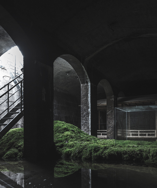 hiroshi sambuichi brings nature to subterranean copenhagen with cisternerne installation
