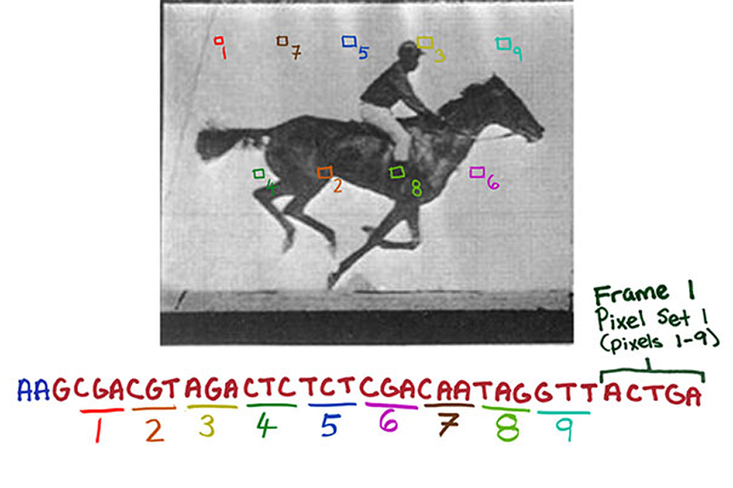 viral data storage: harvard scientists encode a movie in bacterial DNA