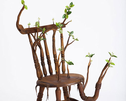 camille kachani sprouts wooden limbs and leaves on everyday household items